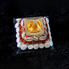 Natural Gomati Chakra with Shree Yantra Pyramid Base Plate.